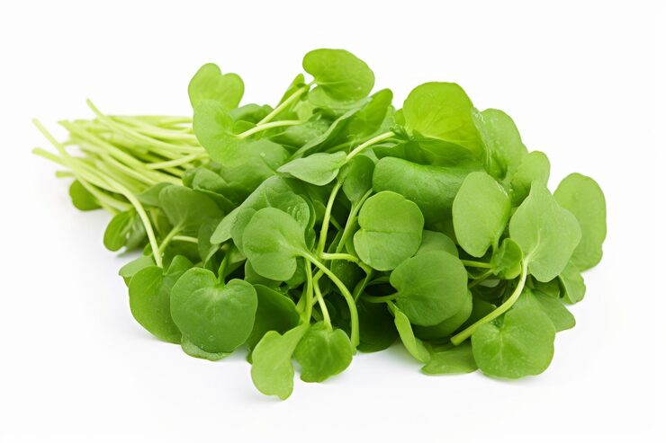 Rau cải xoong